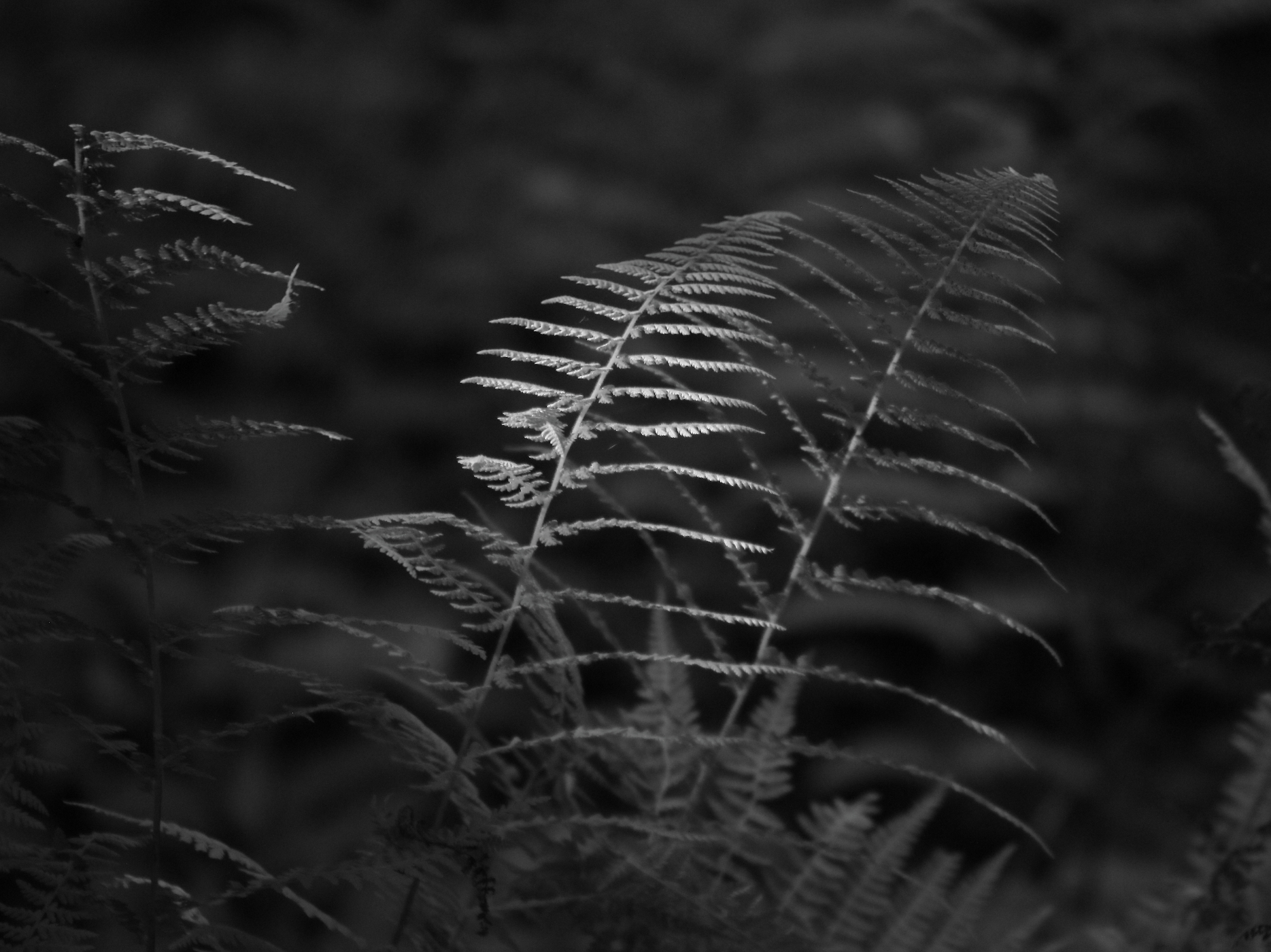 2017 09 24 HTP 65504